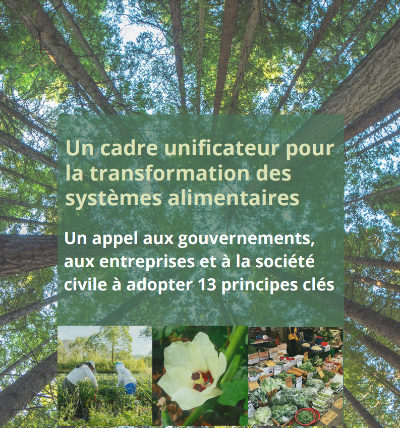Un cadre unificateur pour la transformation des systèmes alimentaires Un appel aux gouvernements, aux entreprises et à la société civile à adopter 13 principes clés.