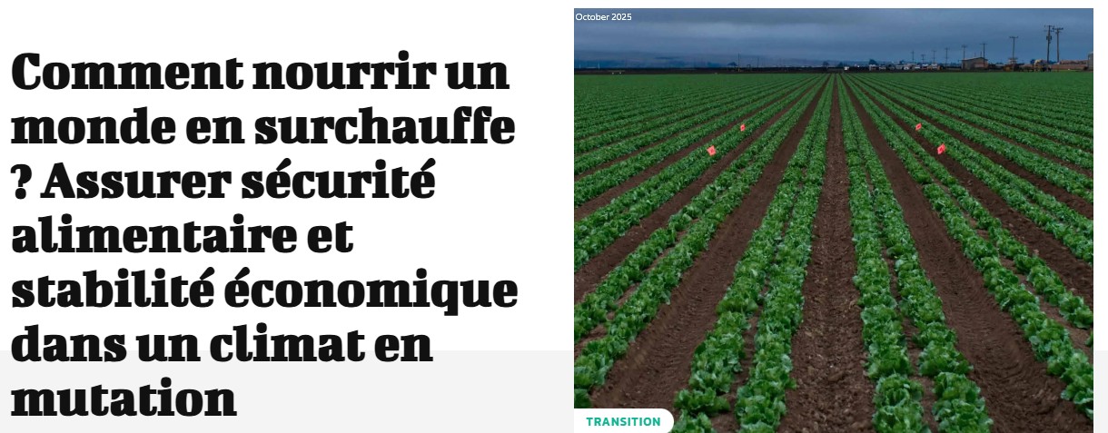 Comment nourrir un monde en surchauffe ? Assurer sécurité alimentaire et stabilité économique dans un climat en mutation